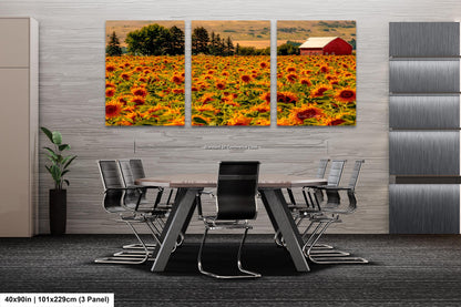 Home Decor Photograph Sunflower Field Landscape Wall Art, Rural America, Red Country Barn, Sunflowers, Northeastern Oregon Landscapes, USA