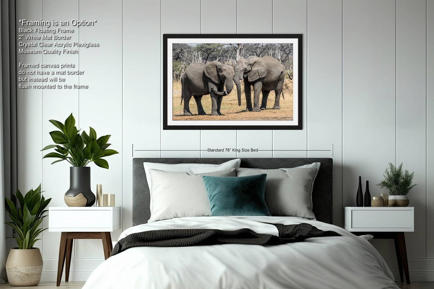 Elephant Canvas Wall Art, South Africa Elephants Couple Photo Print, Safari Animal Print Elephant Photography for Office, Dorm or Home Decor