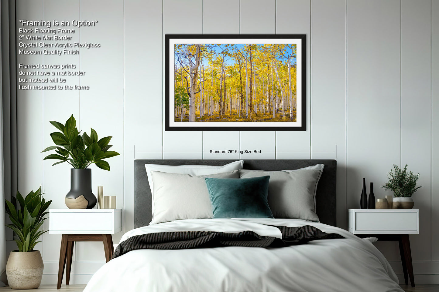 Fall Aspen Trees Wall Art, Pando / Birch Tree / Large Forest Print Nature / Canvas Wall Decor / Acrylic / Metal / Photography