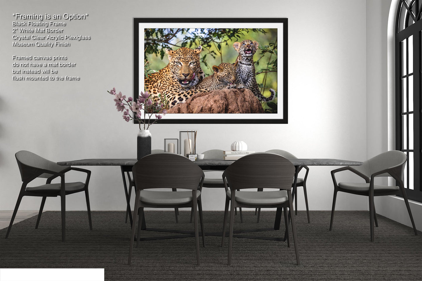 Leopard Mother with Cubs African Safari