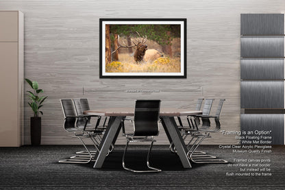 Bull Elk Bugling, Wildlife Wall Canvas, Rocky Mountain National Park, Colorado Canvas Art Prints, Elk Photography, Made in the USA