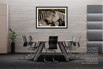 South Africa Zebra Print, Couple Zebras Canvas Wall Art, Stylish Safari Photo Print for Home,Living Room, Office, Bedroom or Dorm Decor Gift