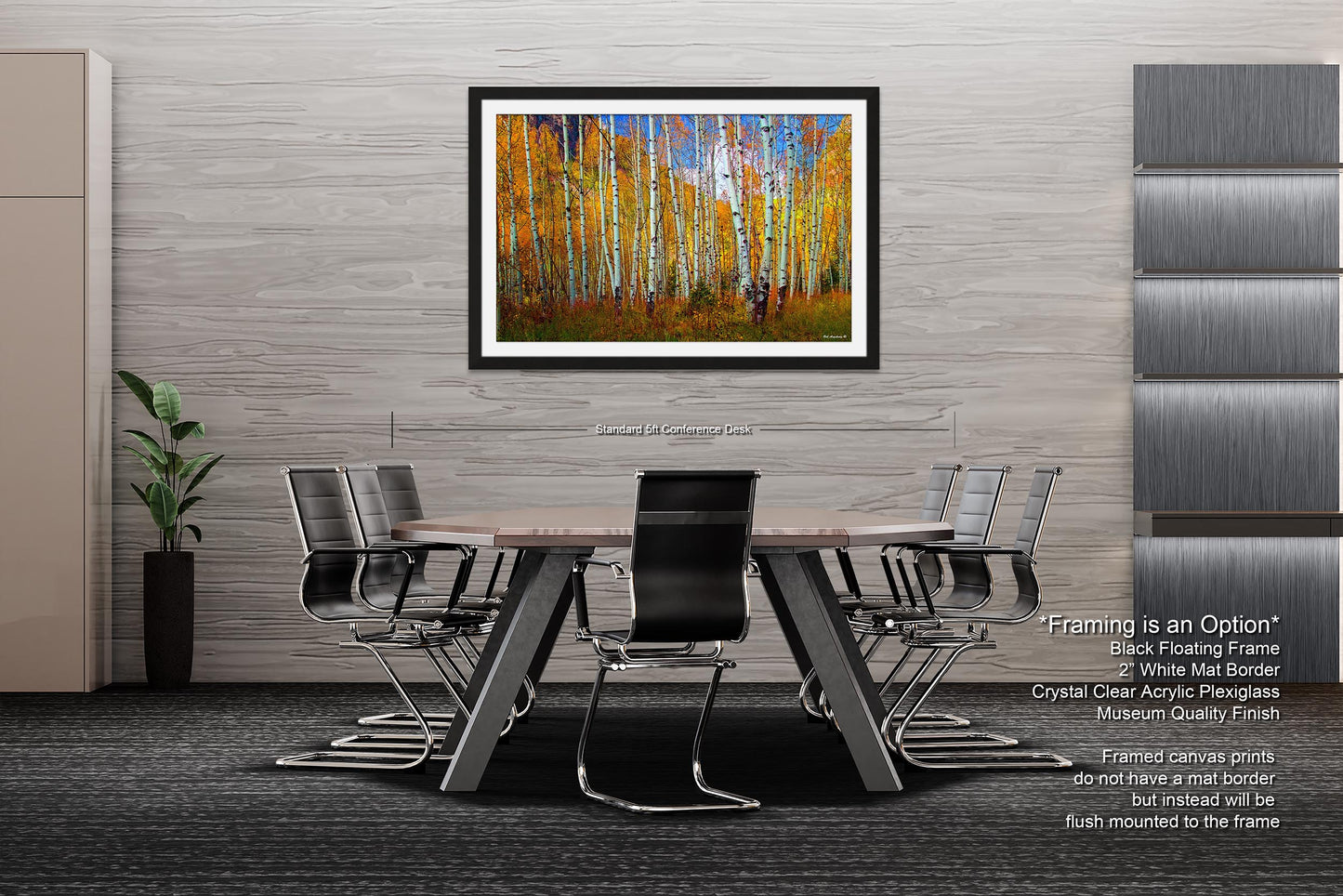 Aspen's canvas, fall aspens, Colorado, Colorado canvas, autumn trees, aspens photo, large canvas, Colorado gifts, large wall art