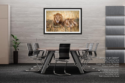 Lion Pair African Safari