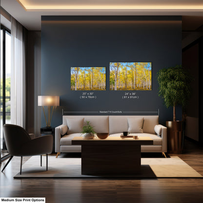 Fall Aspen Trees Wall Art, Pando / Birch Tree / Large Forest Print Nature / Canvas Wall Decor / Acrylic / Metal / Photography
