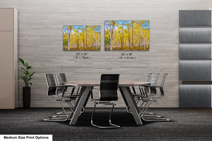 Fall Aspen Trees Wall Art, Pando / Birch Tree / Large Forest Print Nature / Canvas Wall Decor / Acrylic / Metal / Photography