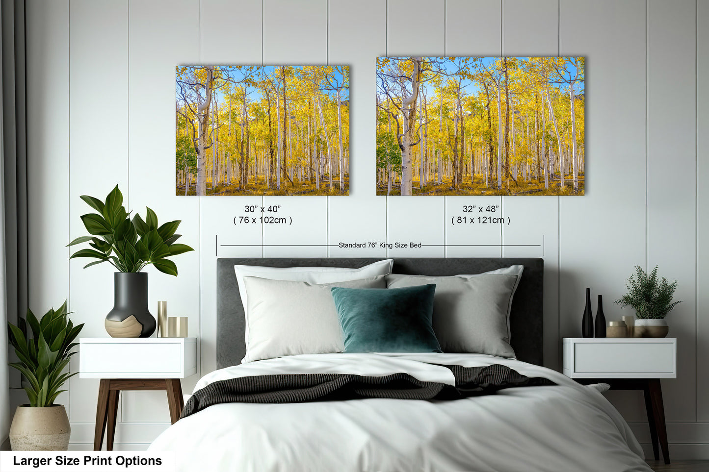 Fall Aspen Trees Wall Art, Pando / Birch Tree / Large Forest Print Nature / Canvas Wall Decor / Acrylic / Metal / Photography