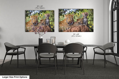 Leopard Mother with Cubs African Safari