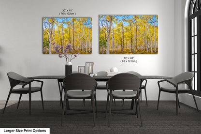 Fall Aspen Trees Wall Art, Pando / Birch Tree / Large Forest Print Nature / Canvas Wall Decor / Acrylic / Metal / Photography