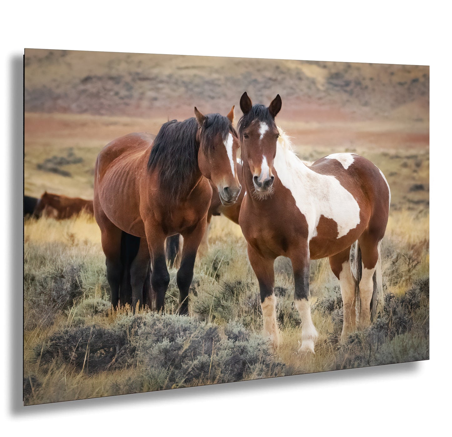 Wild Horses, Western Wall Art, Office, Living Room, Bedroom, Bar, Entryway, Canvas, Metal, Glossy Photo Print