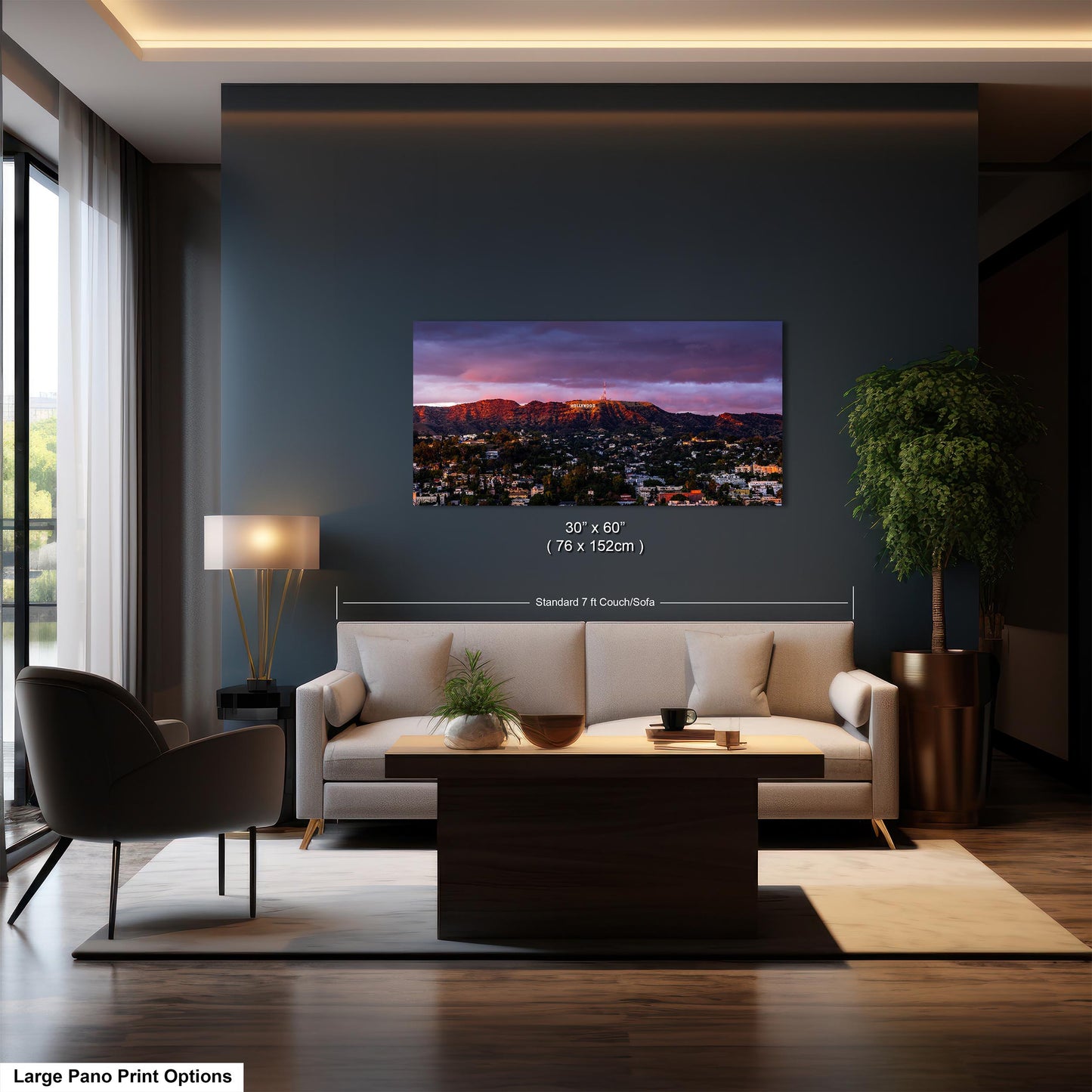 Hollywood View
