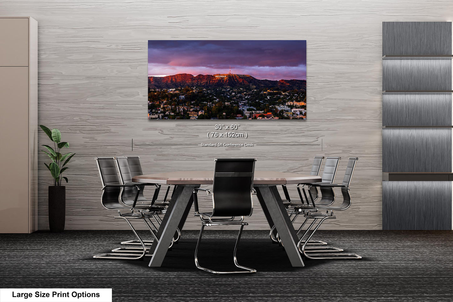 Hollywood View