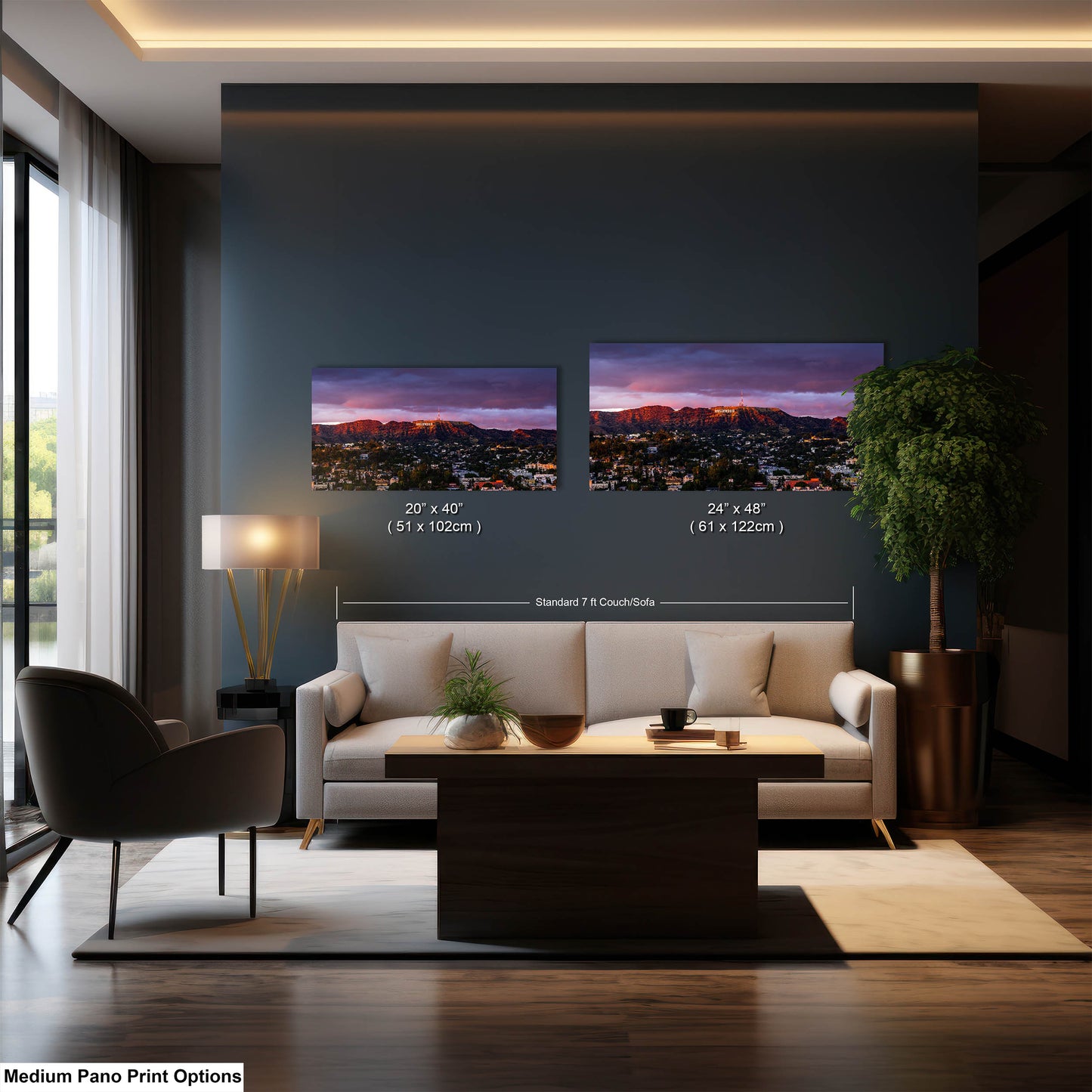 Hollywood View