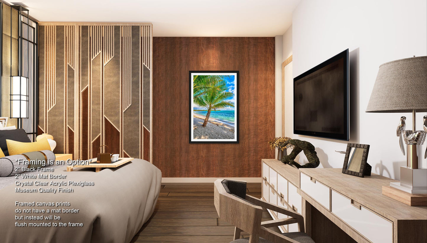 Palm Tree Photo, Wall Art, Palms, Photo, Canvas Print, Wall Decor, Metal Print