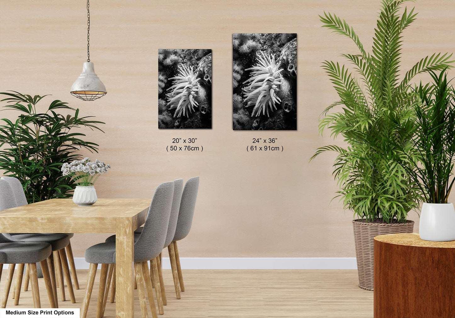 Sea Life Wall Art Sea Anemone Underwater Print in Black and White Ocean Lover Gift Coral Reef Art