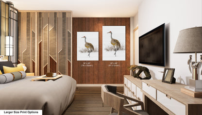 Sandhill Crane, Yellowstone National Park, Western Wall Art, available on Paper, Canvas, Metal, or Acrylic, great for Home, Office, and Dorm