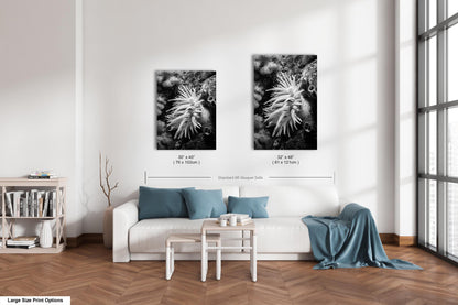 Sea Life Wall Art Sea Anemone Underwater Print in Black and White Ocean Lover Gift Coral Reef Art