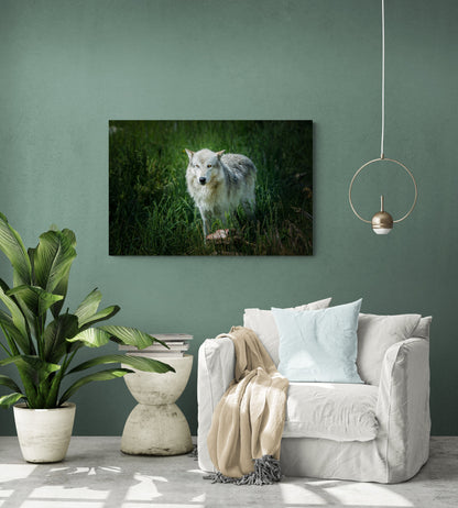 Canvas image of a gray wolf from Yellowstone National Park featured on a green wall with plants and a comfortable chair.