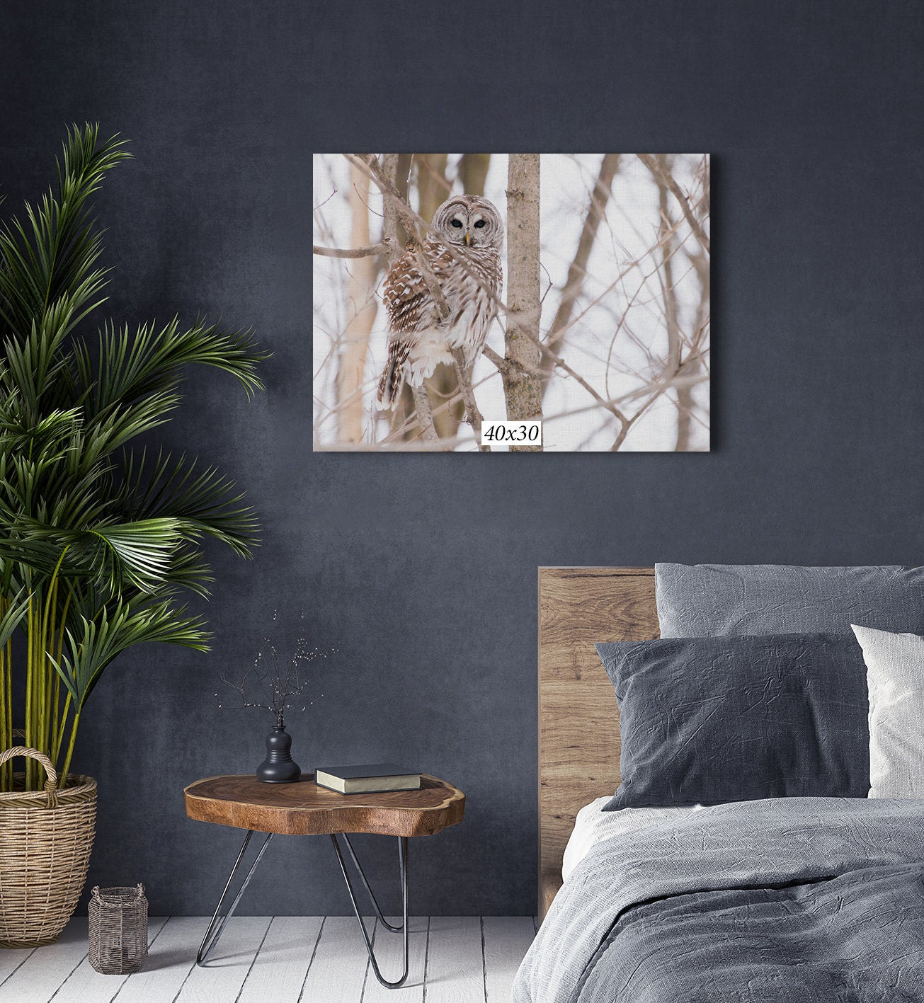 Barred Owl Iconic Wildlife Canvas Print Framed Canvas Bird Photo Ontario Scenery Winter