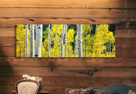 Aspen tree wall art, aspen trees, forest wall art, birth tree wall art, Aspen, Colorado, large panoramic art, autumn colors