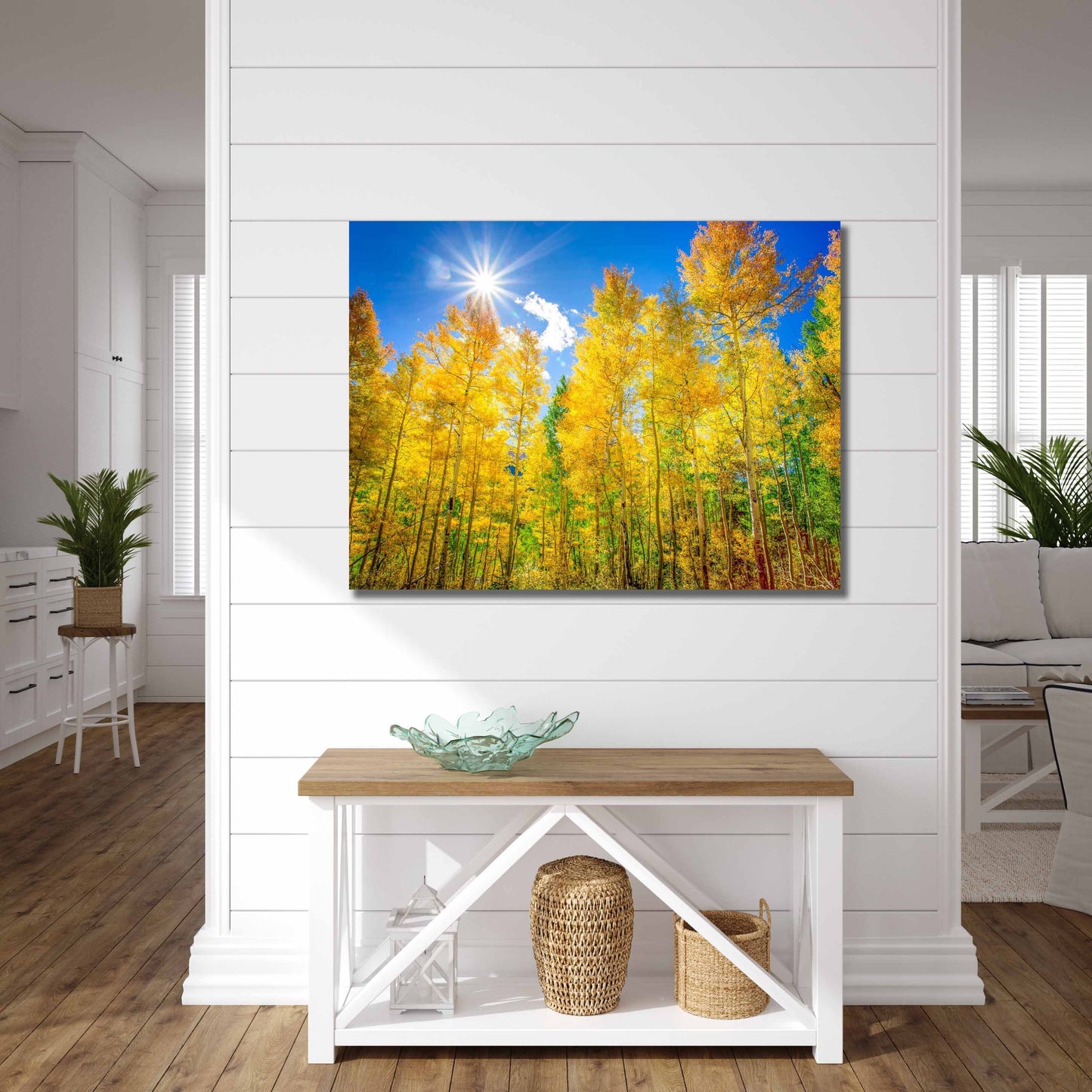 Colorado Golden Aspens, Autumn Aspens Photo, Nature Canvas Print, Rocky Mountain Landscape, Large Canvas Wall Art, Colorado Photography