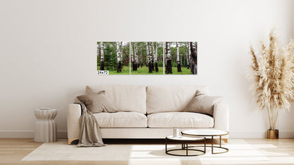 24 inch by  72 inch (2 foot by 6 foot) 3 Panel Canvas Wrap Birch Grove