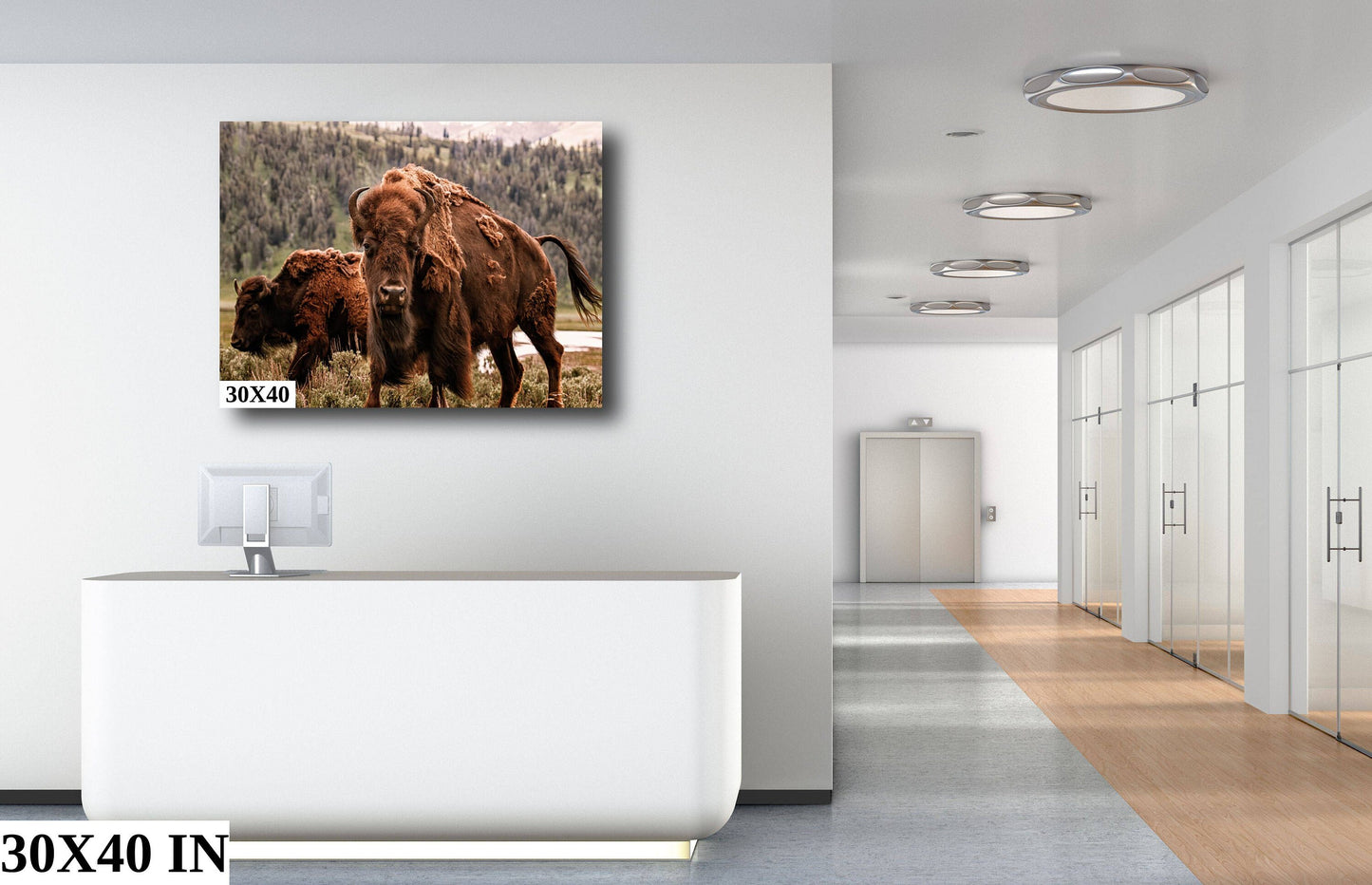 Wild Bison Buffalo Wall Art "Eye of the Bison" Canvas Print Metal Fine Art, Wyoming, Yellowstone Art