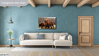 Wild Bison Buffalo Wall Art "Eye of the Bison" Canvas Print Metal Fine Art, Wyoming, Yellowstone Art