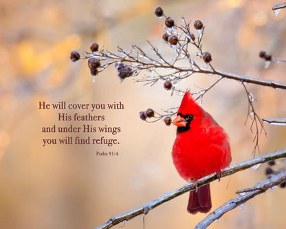 Psalm 91:4, Red Cardinal Bible Verse, Cardinal Scripture Canvas, Christian Inspirational Wall Art, He Will Cover You With His Feathers