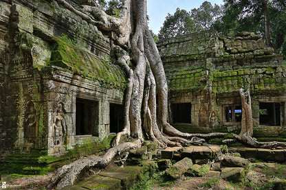 Ta Prohm Temple, Cambodia, Canvas Print, Fine Art Photography, Large Wall Art, Travel Photography, Bayon Style Home Decor, Angkor Wat