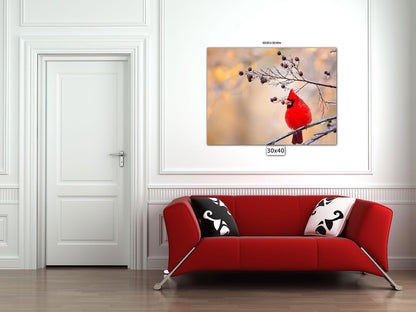 Red Cardinal Canvas Wall Art Prints,  Texas Birds, Redbird Photo Canvas, Wall Decor Ideal for Home, Living Room, Bedroom and Kitchen