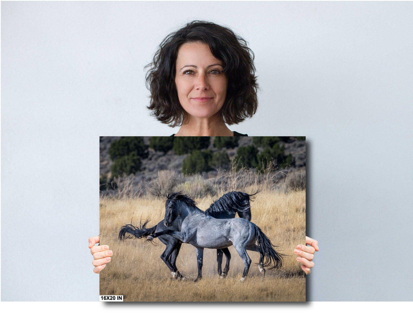 Two Wild Horses on Onaqui Range, Utah: Print / Canvas / Acrylic / Metal / Wall Decor / Landscape Photograph