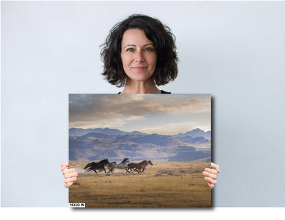 Running Wild Horses, Onaqui Range, Utah: Print / Canvas / Acrylic / Metal / Wall Decor / Landscape Photograph