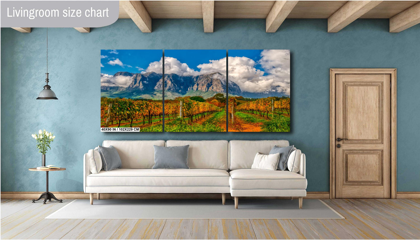 Vineyard Photography on Canvas, Landscape Photography, Canvas Wall Art, South Africa Photography, South Africa, Winery Photography